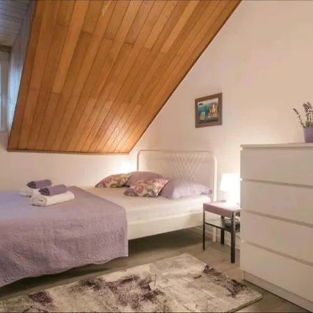 Daire Center Ankora *